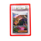 The cherry Beckett Card Slab Protector shown with Janine from the Pokemon TCG in it against a white background